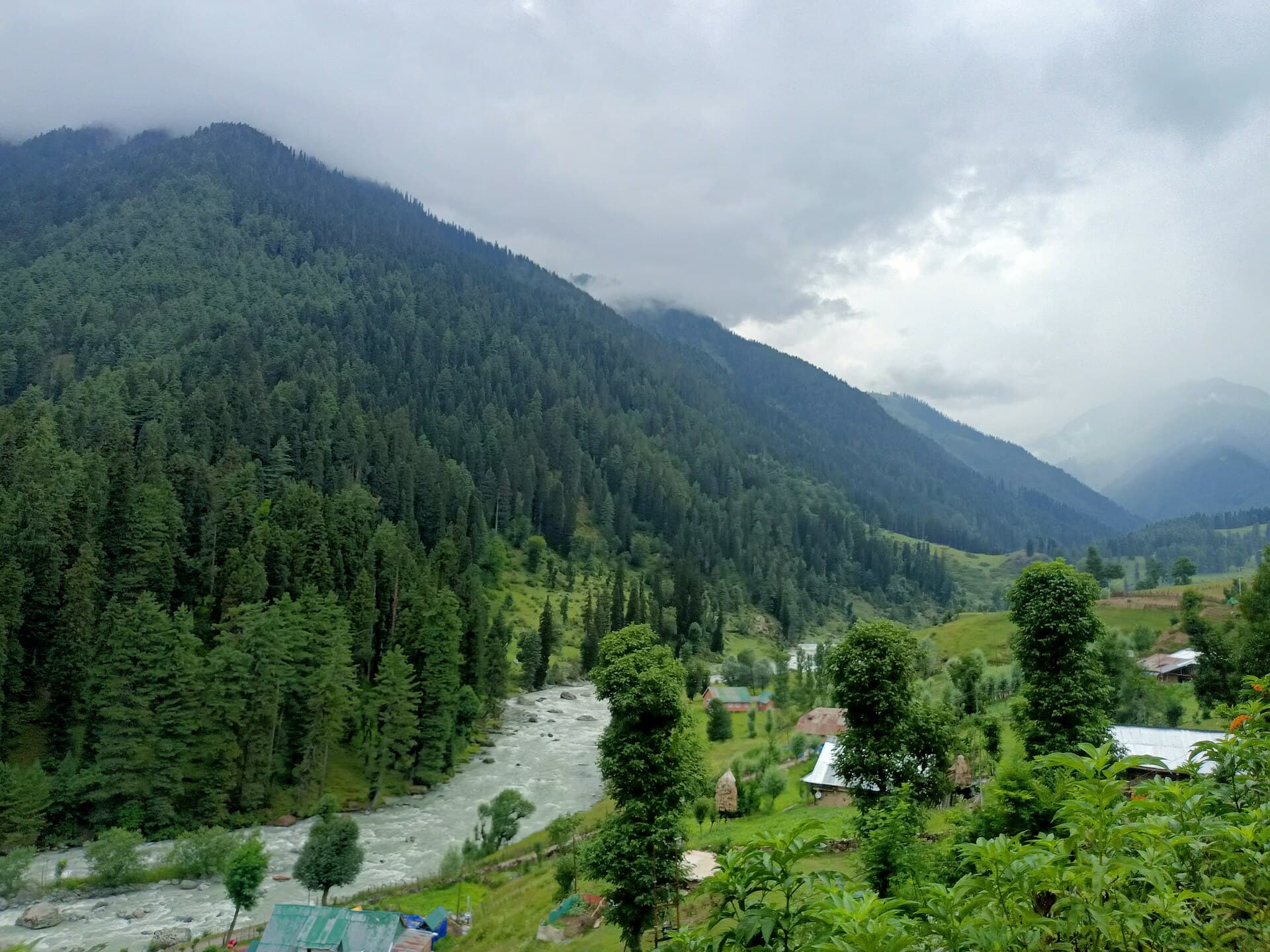 Wide grassy meadow of Aru Valley near Pahalgam