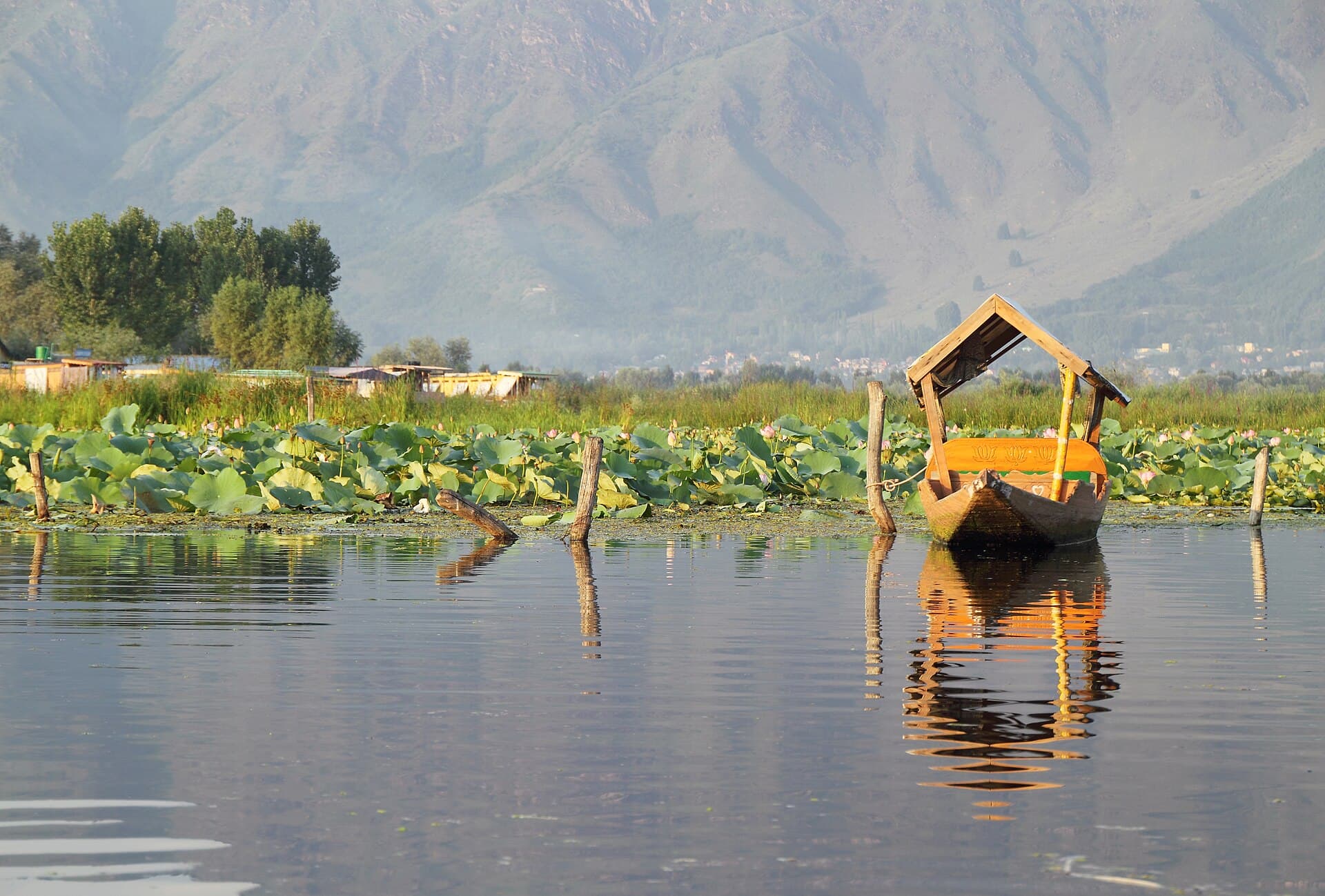 A single shikara resting on the still water of Dal Lake